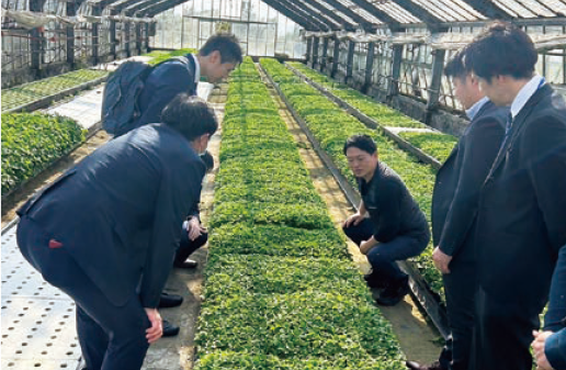 ⑤農業情勢とJAグループの取り組み